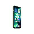 Apple iPhone 13 Pro Leather Case with MagSaf  - Sequoia Green