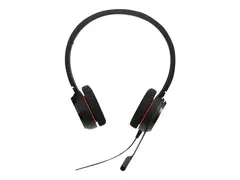Jabra Evolve 20 MS stereo - Hodesett - on-ear kablet - USB-C - lydisolerende