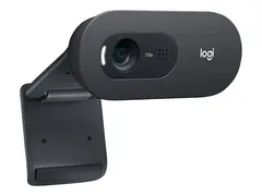 Logitech C505e - Nettkamera - farge 720p - fastfokal - lyd - USB