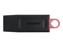 Kingston DataTraveler Exodia - USB-flashstasjon 256 GB - USB 3.2 Gen 1 - svart/rosa