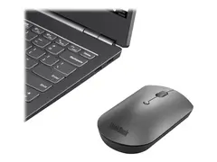 Lenovo ThinkPad Silent - Mus - høyre- og venstrehåndet blå optisk - 3 knapper - trådløs - Bluetooth 5.0 - svart - løsvekt