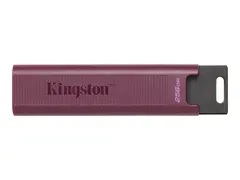 Kingston DataTraveler Max - USB-flashstasjon 1 TB - USB 3.2 Gen 2