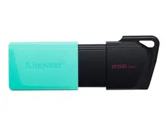 Kingston DataTraveler Exodia M USB-flashstasjon - 256 GB - USB 3.2 Gen 1