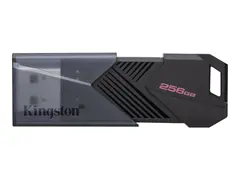 Kingston DataTraveler Onyx - USB-flashstasjon 256 GB - USB 3.2 Gen 1 - matt svart